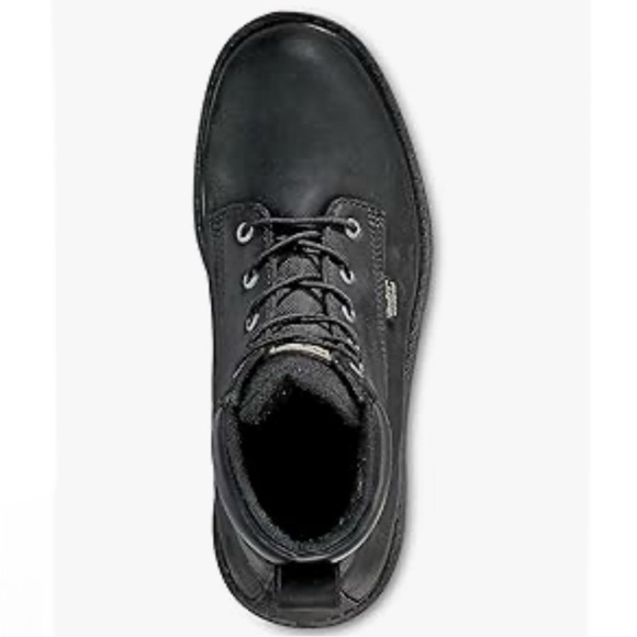 Irish Setter Hopkins 6\